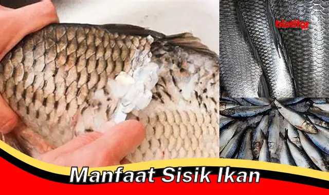 manfaat sisik ikan