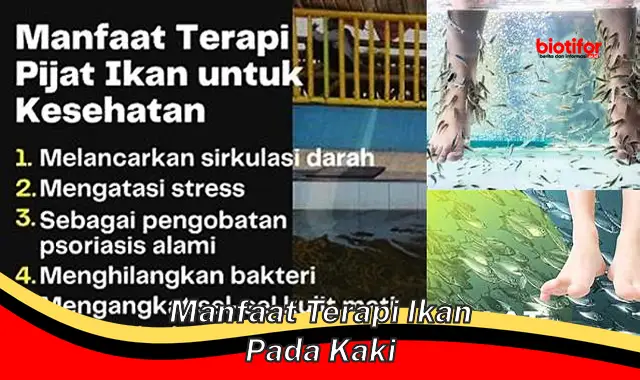 manfaat terapi ikan pada kaki