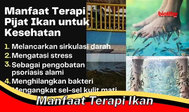 manfaat terapi ikan