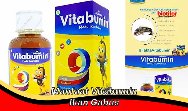 manfaat vitabumin ikan gabus