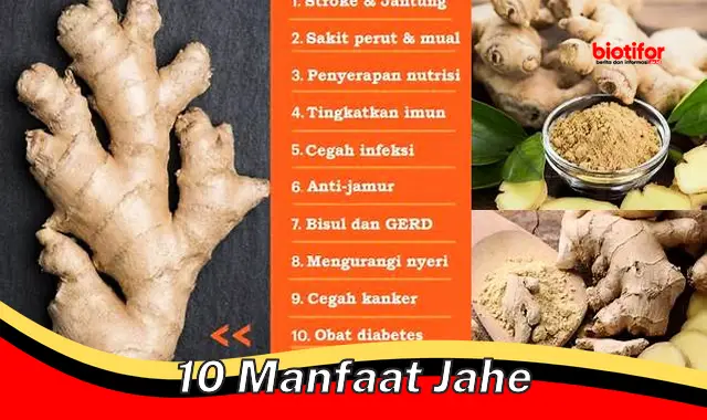 10 manfaat jahe