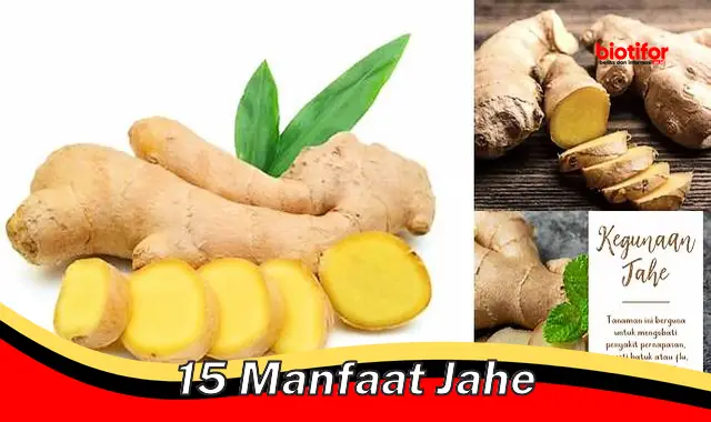 15 manfaat jahe