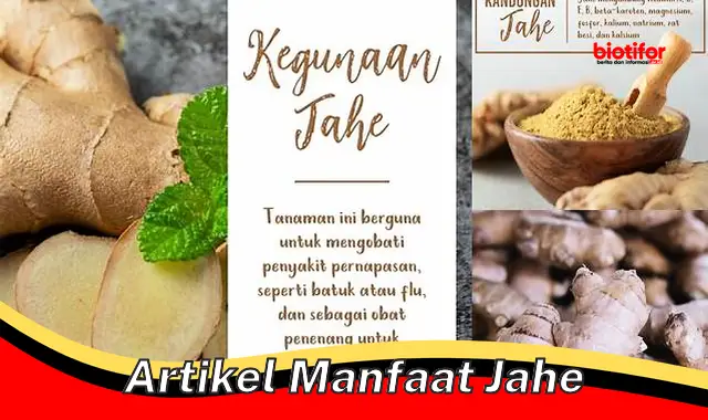 Temukan Khasiat Jahe Yang Jarang Diketahui Anda Perlu Tahu Biotifor