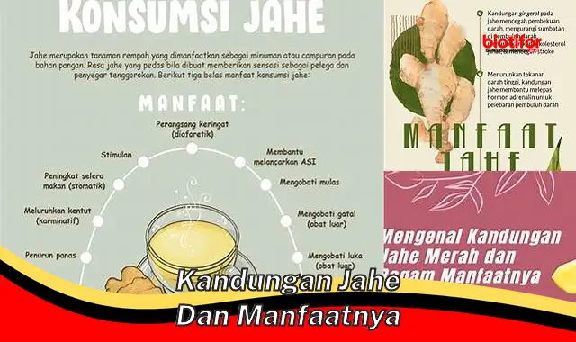 Temukan Rahasia Khasiat Jahe yang Jarang Diketahui