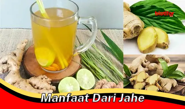 manfaat dari jahe