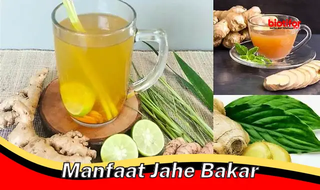 manfaat jahe bakar