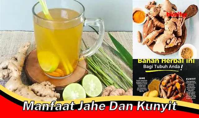 manfaat jahe dan kunyit