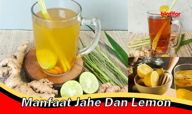 5 Manfaat Jahe dan Lemon yang Wajib Anda Tahu!