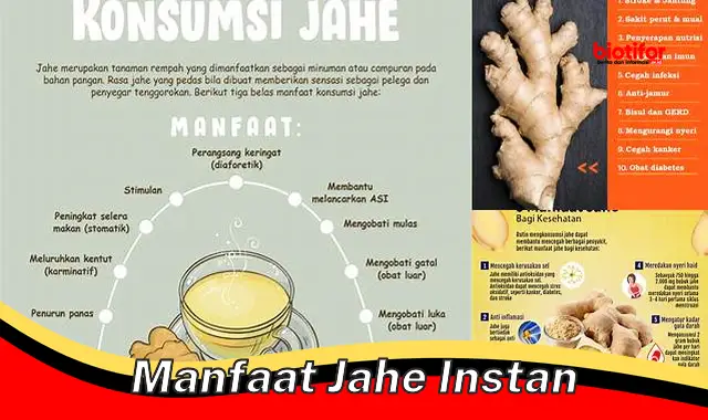 manfaat jahe instan