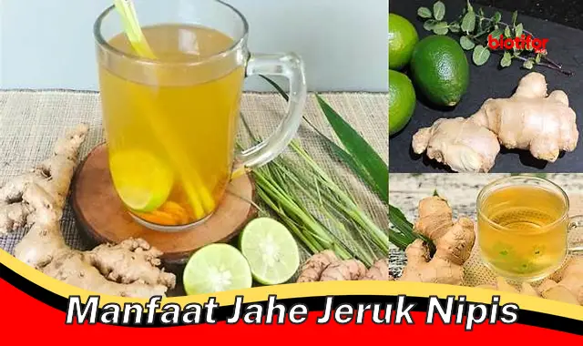 manfaat jahe jeruk nipis