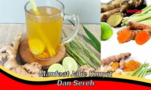 manfaat jahe kunyit dan sereh