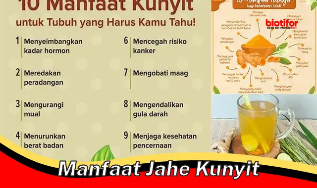 manfaat jahe kunyit