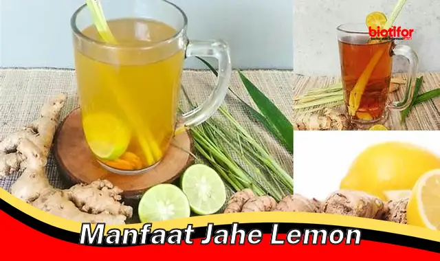 manfaat jahe lemon