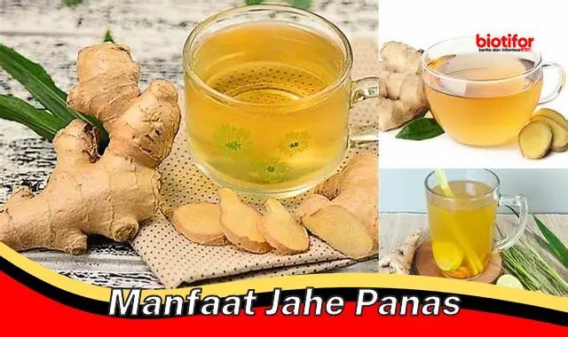 manfaat jahe panas