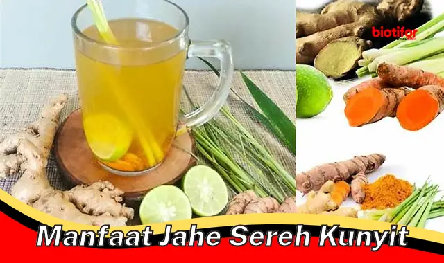 manfaat jahe sereh kunyit