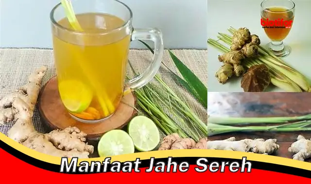 manfaat jahe sereh