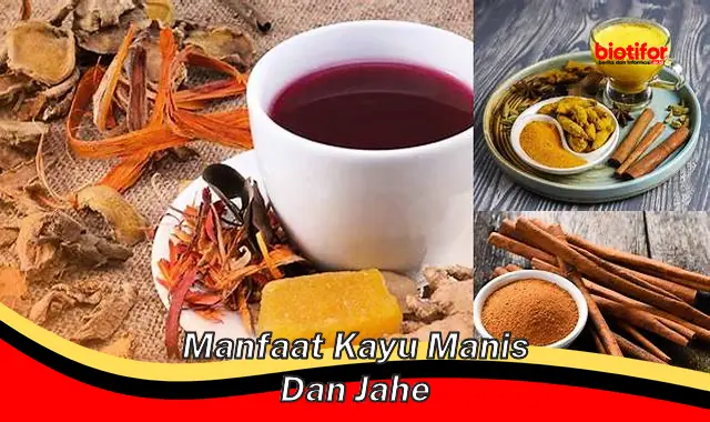 manfaat kayu manis dan jahe