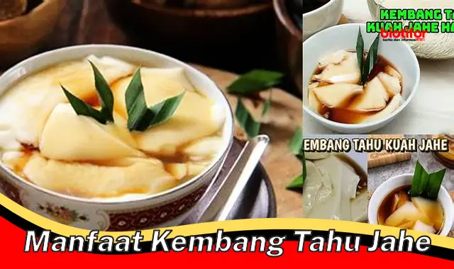 manfaat kembang tahu jahe