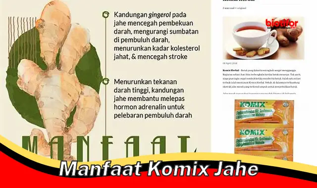 manfaat komix jahe