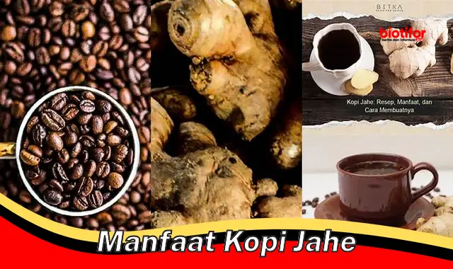 manfaat kopi jahe