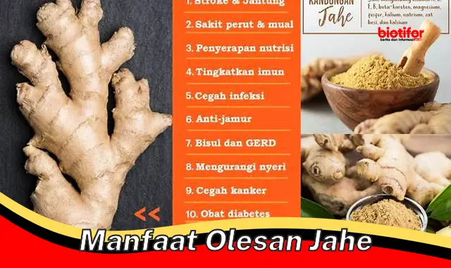 manfaat olesan jahe