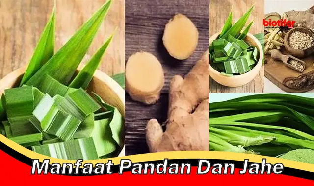 5 Manfaat Pandan dan Jahe yang Perlu Diketahui