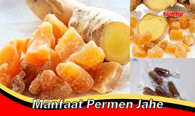 manfaat permen jahe