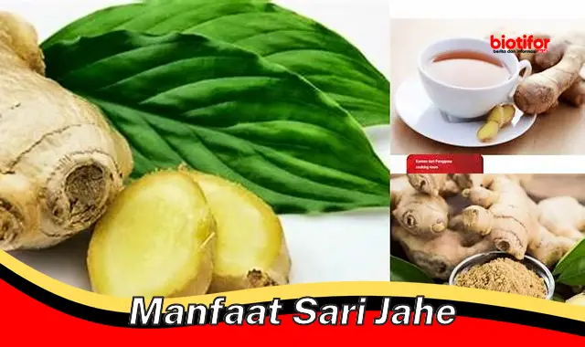 manfaat sari jahe