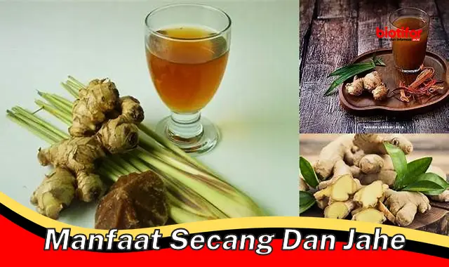 manfaat secang dan jahe