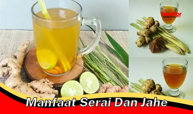 manfaat serai dan jahe