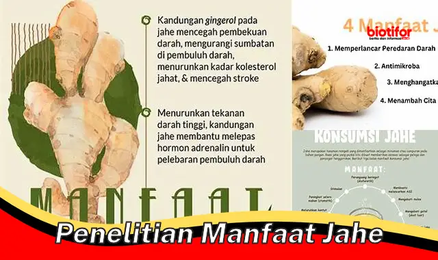 penelitian manfaat jahe