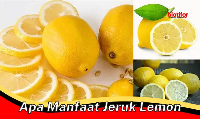 Temukan Manfaat Jeruk Lemon yang Jarang Diketahui