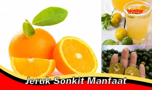 jeruk sonkit manfaat