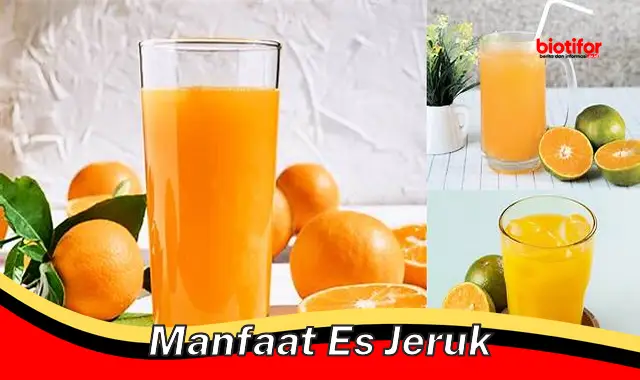 manfaat es jeruk