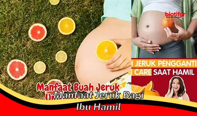 manfaat jeruk bagi ibu hamil