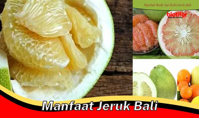 manfaat jeruk bali