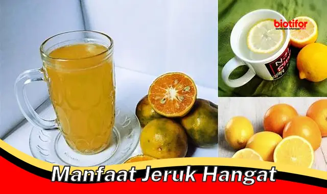 manfaat jeruk hangat