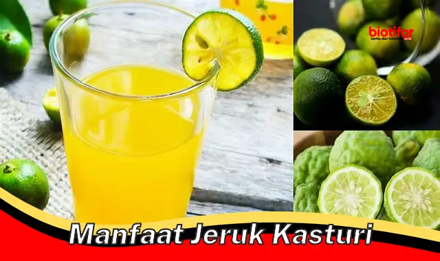 manfaat jeruk kasturi