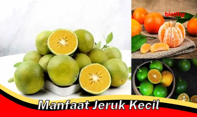 Temukan Manfaat Jeruk Kecil yang Jarang Diketahui Anda Perlu Tahu ...