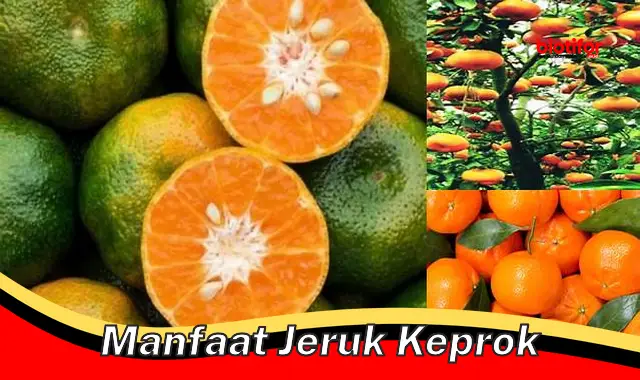 manfaat jeruk keprok