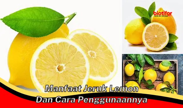 Temukan Khasiat Jeruk Lemon dan Rahasia Penggunaannya - Biotifor