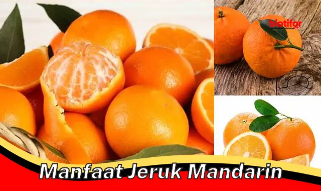 manfaat jeruk mandarin