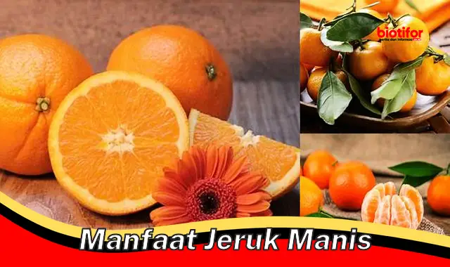 manfaat jeruk manis