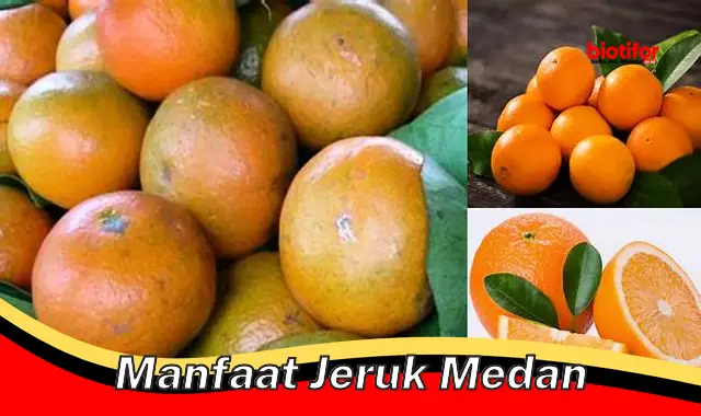 manfaat jeruk medan