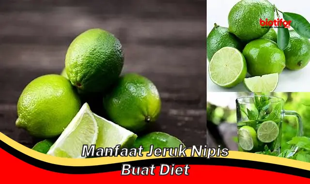 manfaat jeruk nipis buat diet