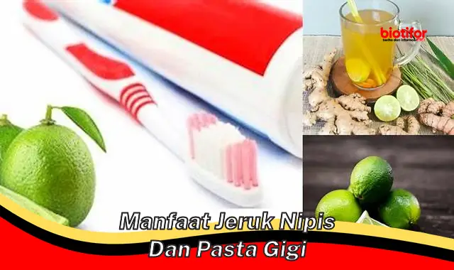 Temukan Manfaat Jeruk Nipis dan Pasta Gigi yang Jarang Diketahui