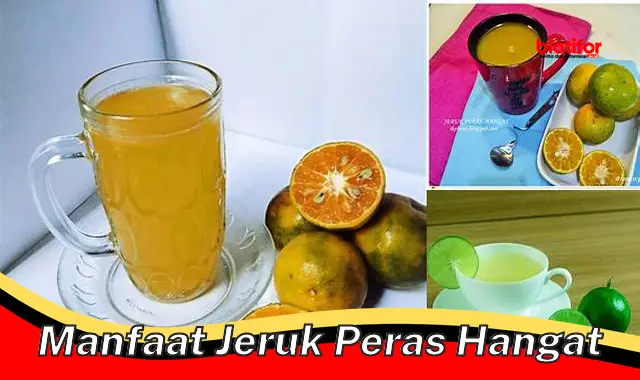 manfaat jeruk peras hangat