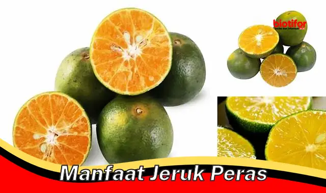 manfaat jeruk peras