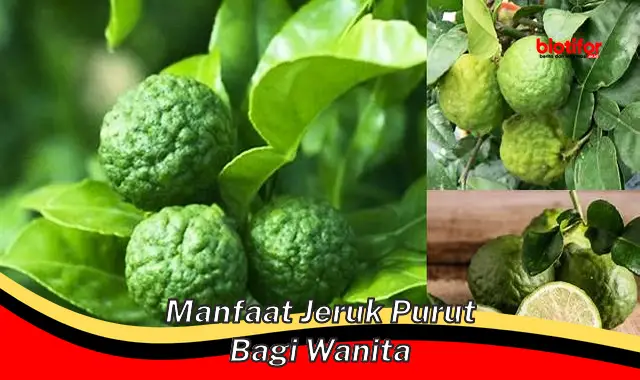 manfaat jeruk purut bagi wanita