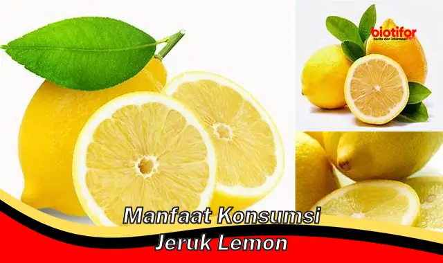 manfaat konsumsi jeruk lemon